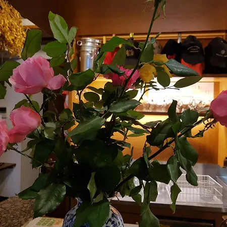 I Personaggi Gæstehus 3*